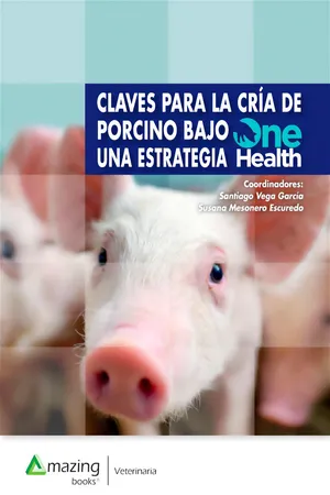 Claves para la cría de porcino bajo una estrategia One Health