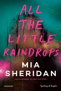All the little raindrops_cover