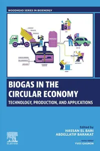 Biogas in the Circular Economy_cover