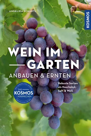 Wein im Garten anbauen & ernten