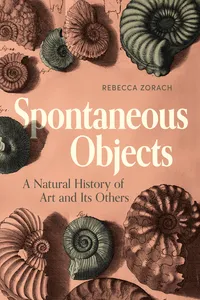 Spontaneous Objects_cover