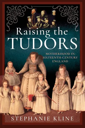 Raising the Tudors