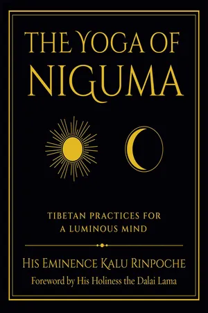 The Yoga of Niguma