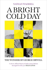 A Bright Cold Day_cover