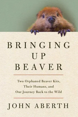 Bringing Up Beaver