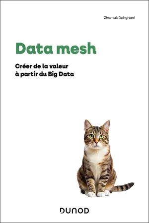 Data Mesh
