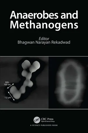 Anaerobes and Methanogens