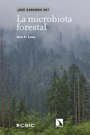 La microbiota forestal