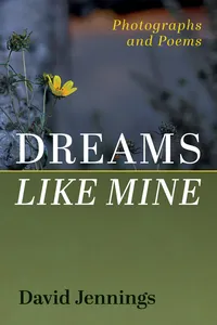 Dreams Like Mine_cover