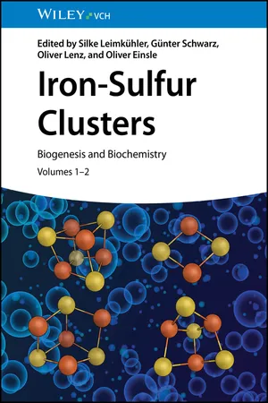 Iron-Sulfur Clusters