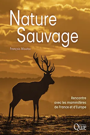 Nature sauvage