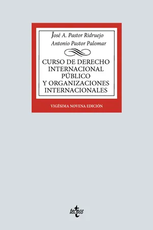 Curso de Derecho Internacional Público y de Organizaciones Internacionales