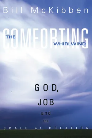 The Comforting Whirlwind