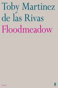 Floodmeadow_cover