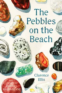 The Pebbles on the Beach_cover