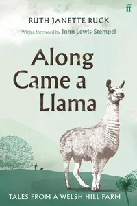 Along Came a Llama_cover