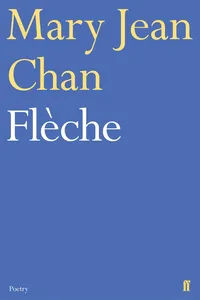 Flèche_cover