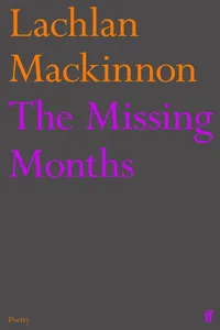 The Missing Months_cover