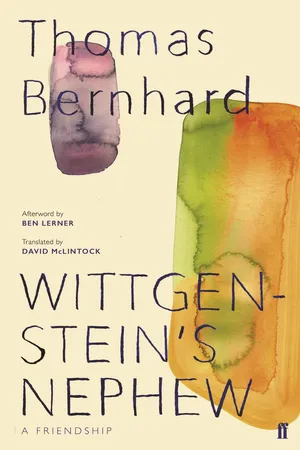 Wittgenstein's Nephew