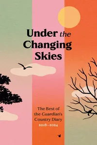 Under the Changing Skies_cover