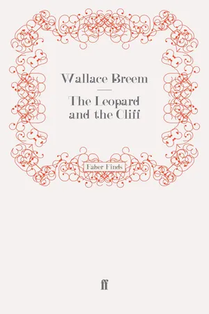 The Leopard and the Cliff