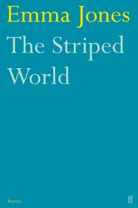 The Striped World_cover