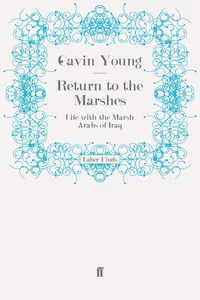 Return to the Marshes_cover