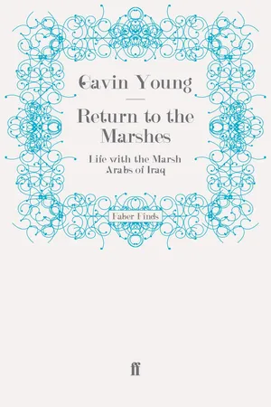 Return to the Marshes