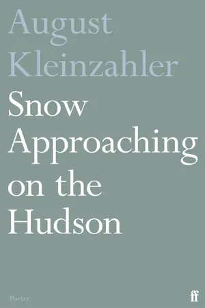 Snow Approaching on the Hudson