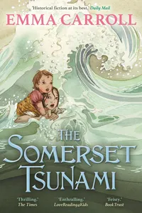 The Somerset Tsunami_cover