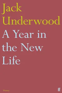 A Year in the New Life_cover