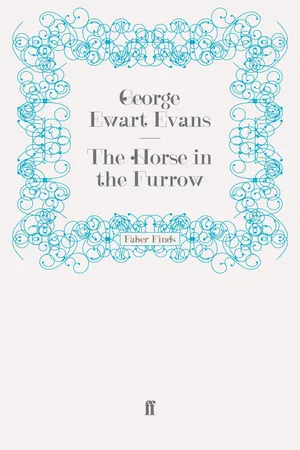 The Horse in the Furrow
