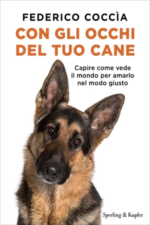 Con gli occhi del tuo cane