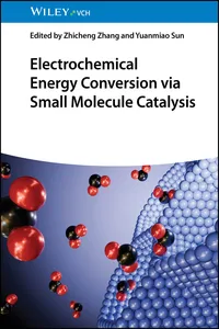 Electrochemical Energy Conversion via Small Molecule Catalysis_cover