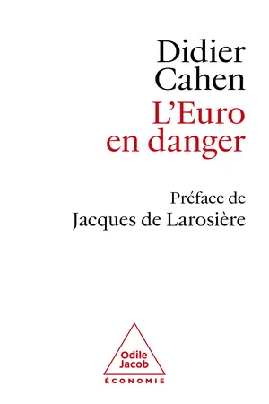 L' Euro en danger