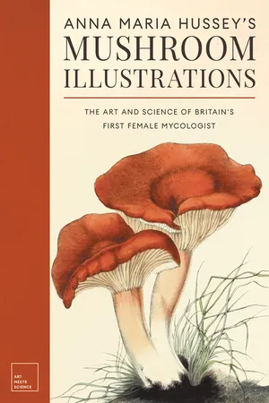 Anna Maria Hussey's Mushroom Illustrations