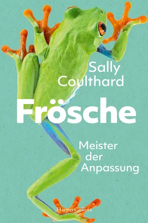 Frösche. Meister der Anpassung