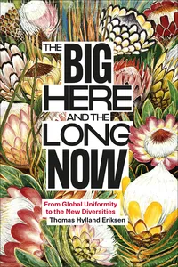 The Big Here and the Long Now_cover