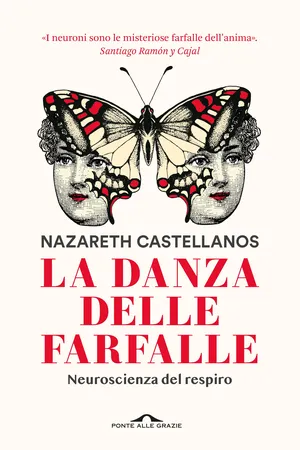 La danza delle farfalle