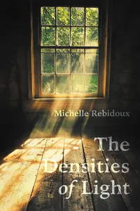 The Densities of Light_cover