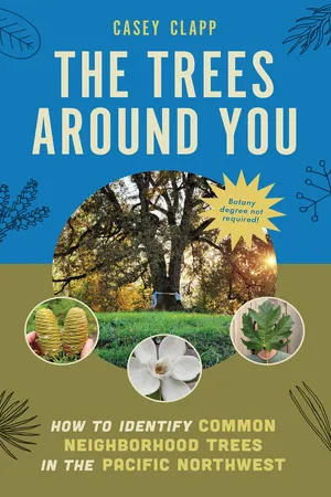The Trees Around You
