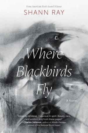 Where Blackbirds Fly