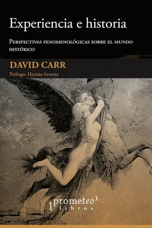 Experiencia e historia