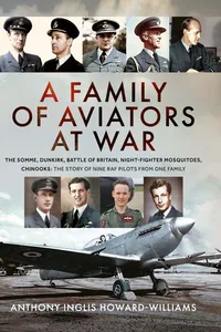 A Family of Aviators at War_cover