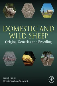 Domestic and Wild Sheep_cover