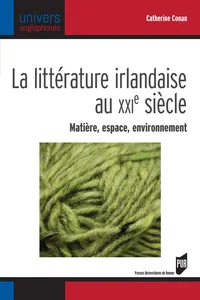 La littérature irlandaise au xxie siècle_cover