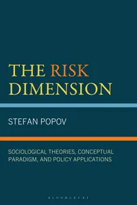 The Risk Dimension_cover
