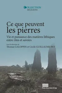 Ce que peuvent les pierres_cover