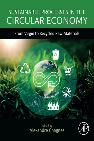 [PDF] Sustainable Processes in the Circular Economy by Alexandre ...
