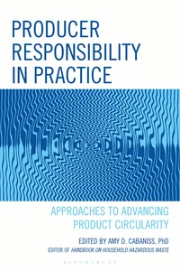 Producer Responsibility in Practice_cover